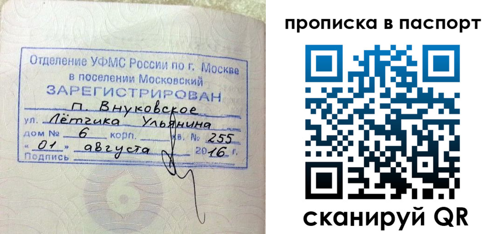 временная прописка в Химках