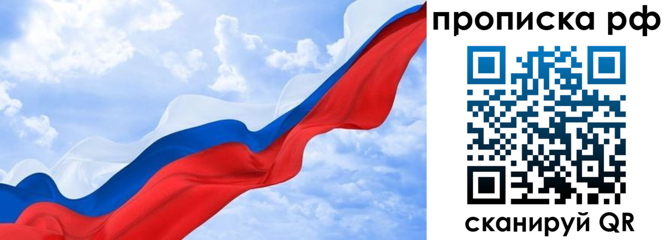 прописка законно в Химках