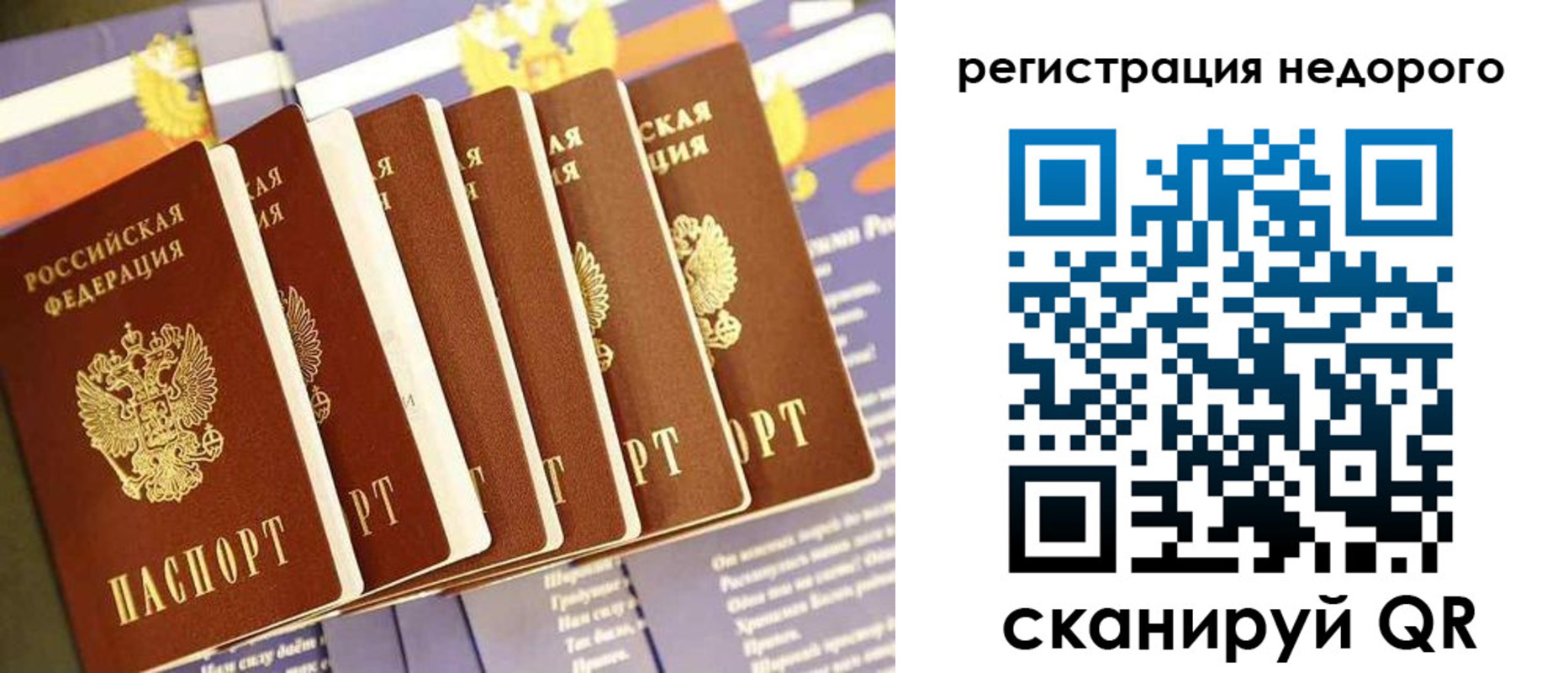 прописка в квартире в Химках